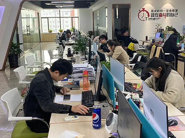 Professional product R&D team