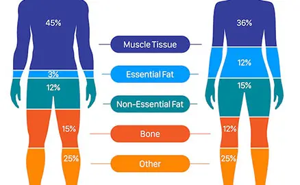 Multi-Area Body Treatments
